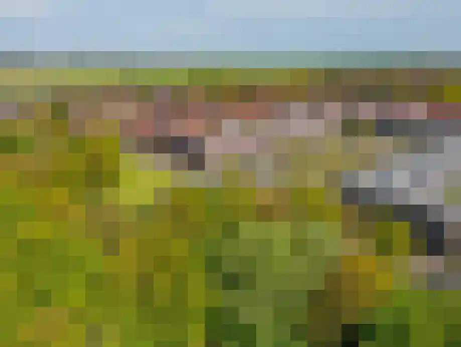 Poortwachter 102 Alphen aan den Rijn thumbnail 27