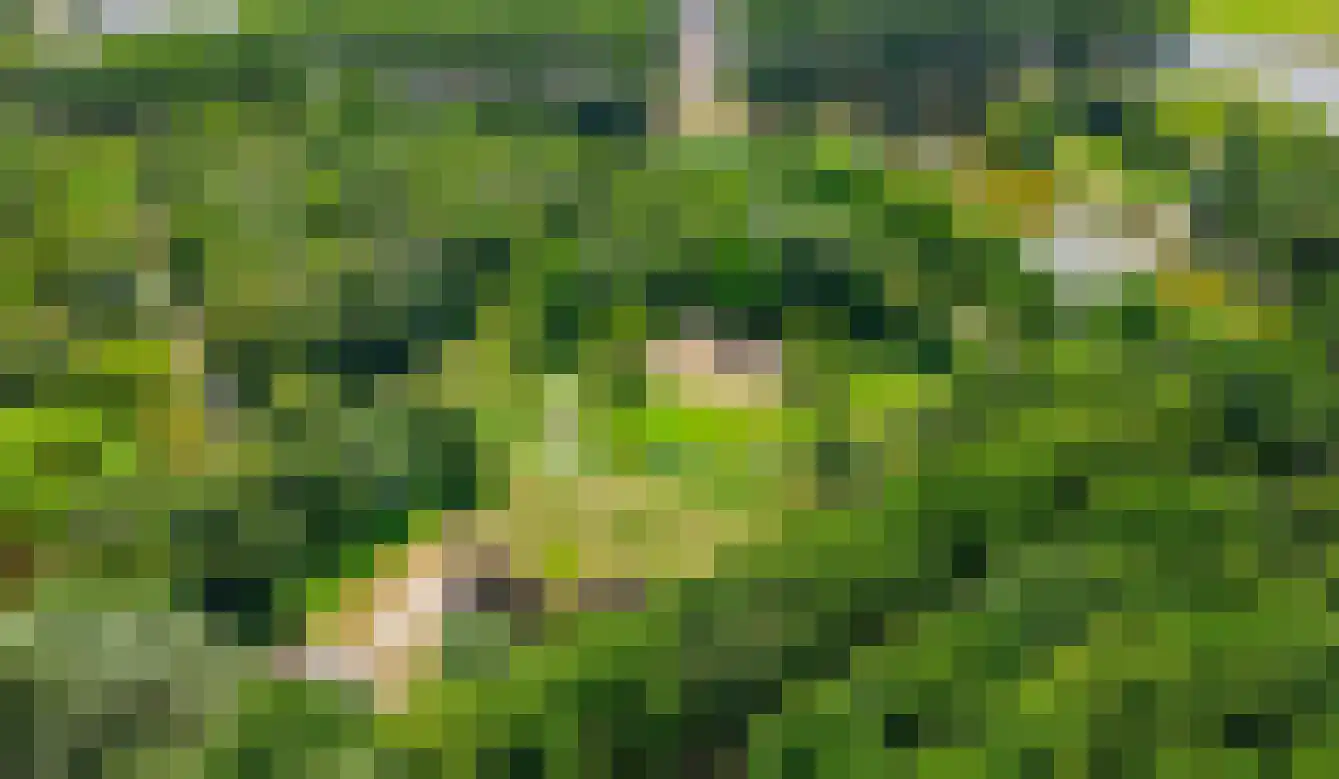 Poortwachter 102 Alphen aan den Rijn thumbnail 30