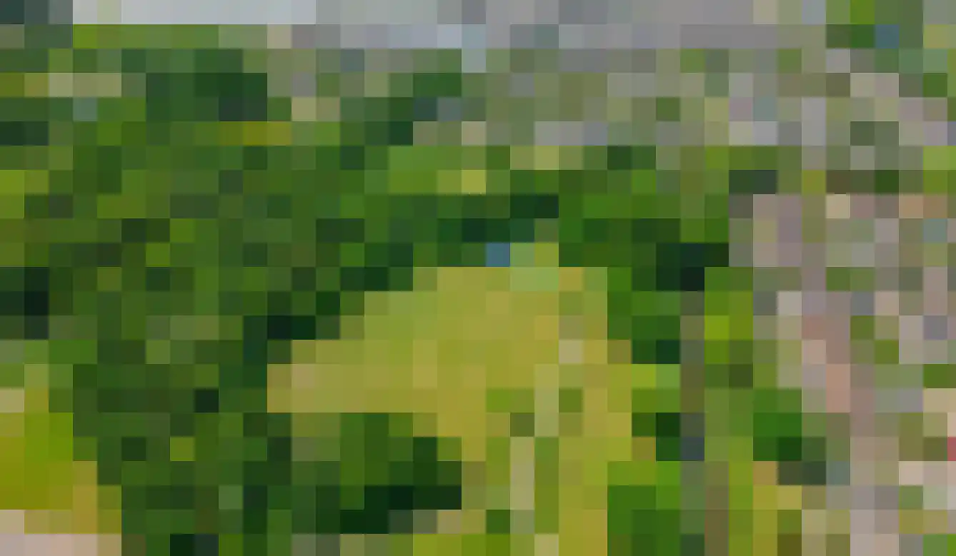 Poortwachter 102 Alphen aan den Rijn thumbnail 32