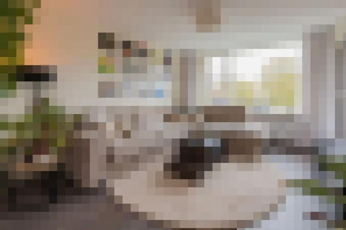 Poortwachter 102 Alphen aan den Rijn thumbnail 4