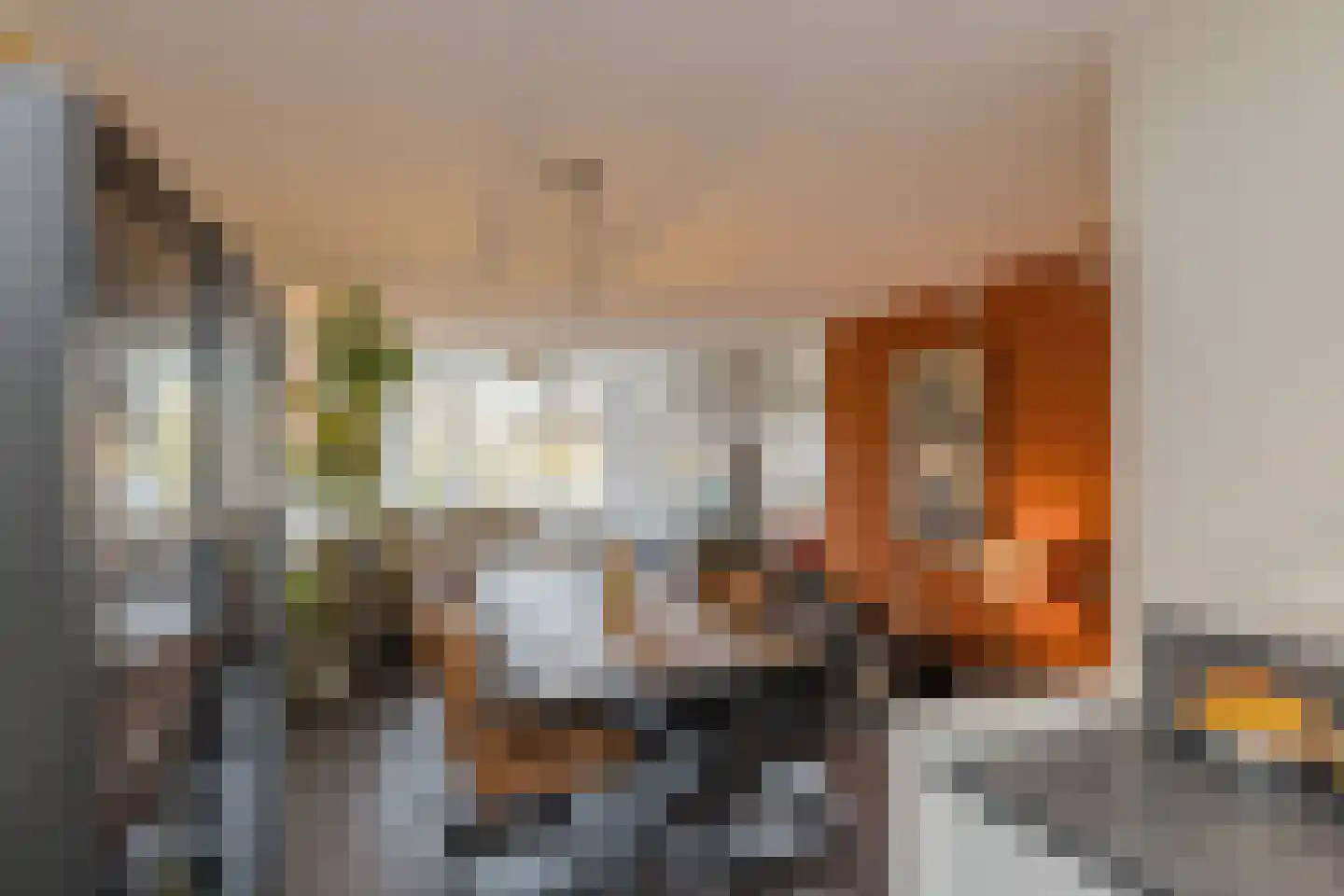 Poortwachter 102 Alphen aan den Rijn thumbnail 7