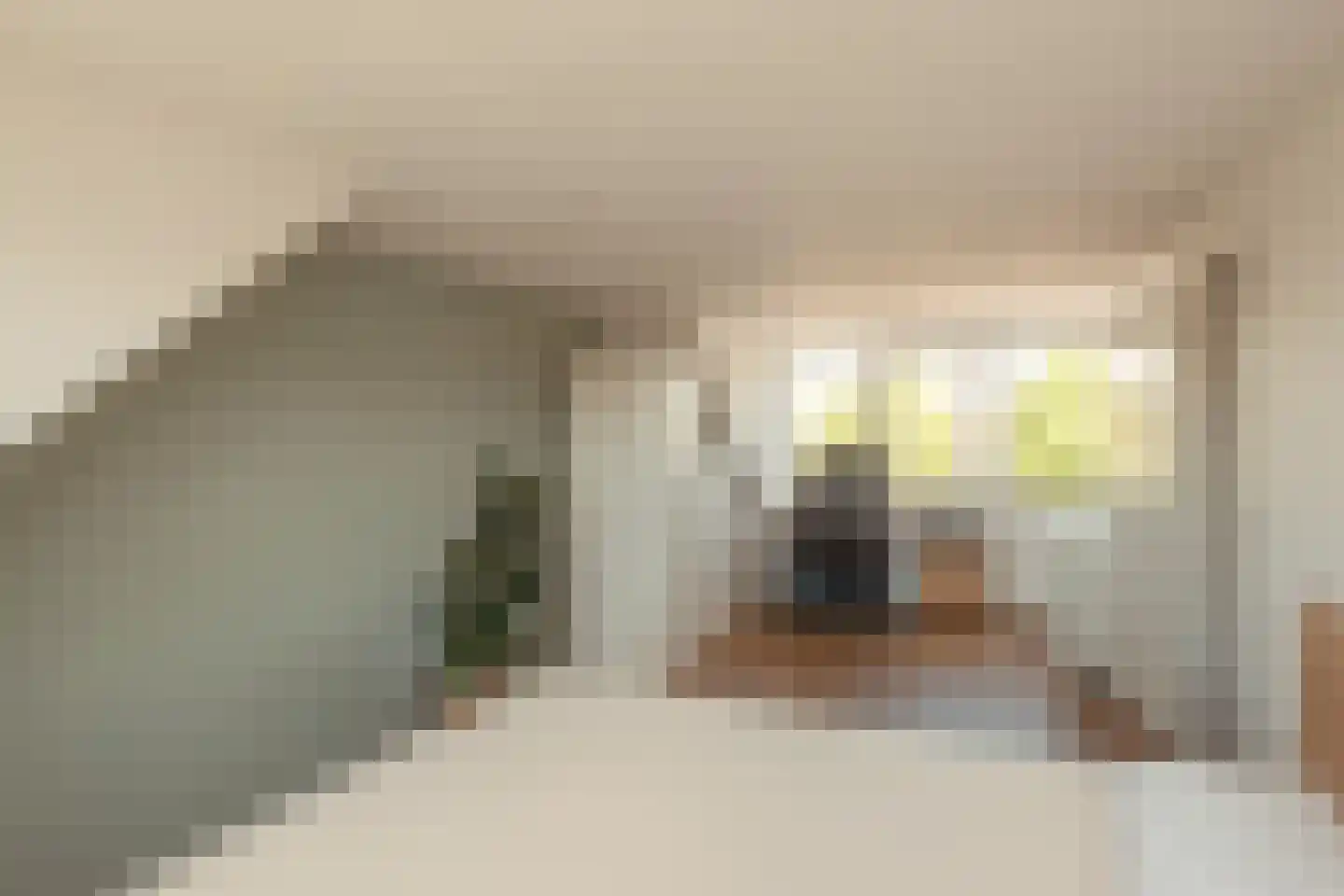 Poortwachter 122 Amstelveen thumbnail 15