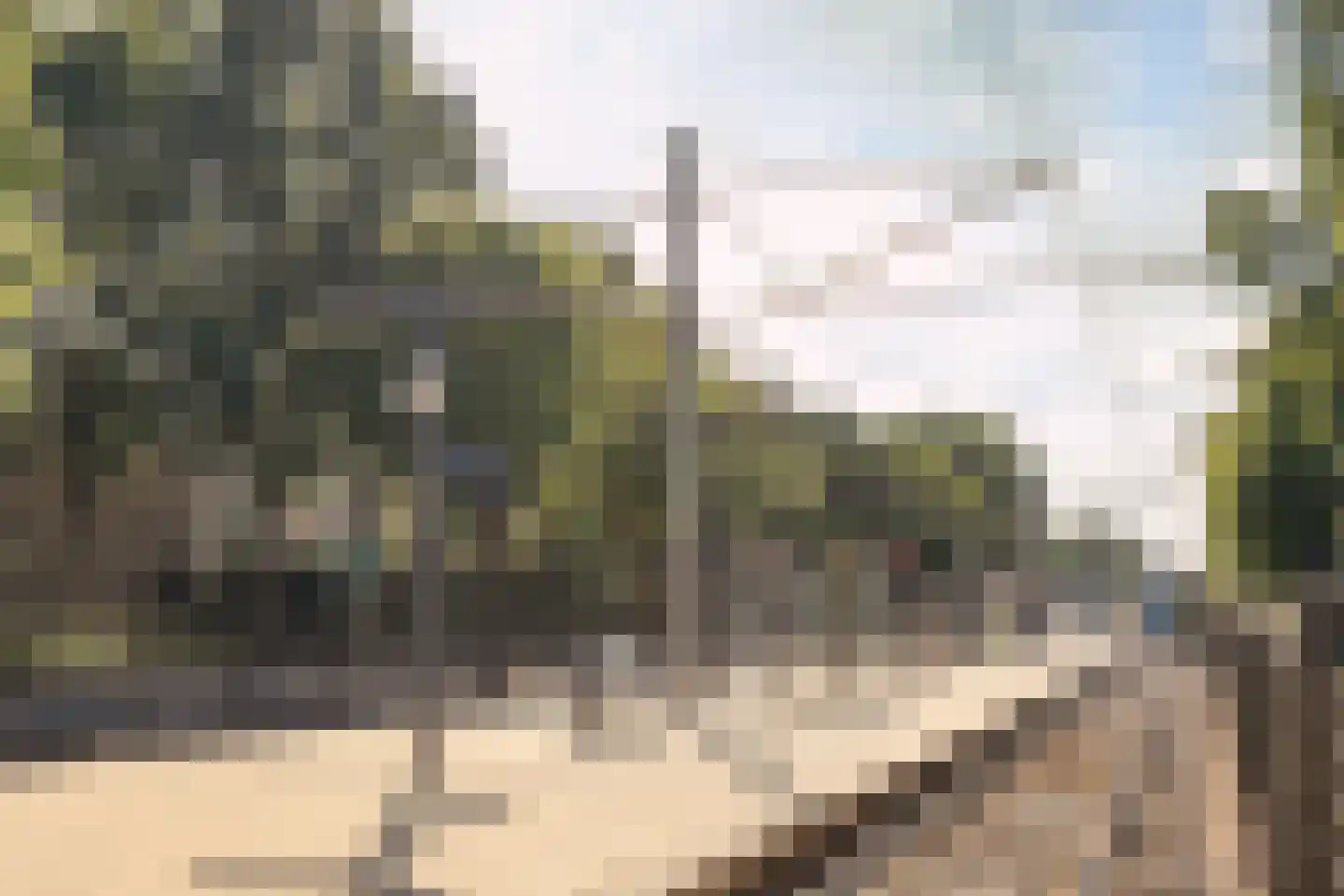 Poortwachter 122 Amstelveen thumbnail 19