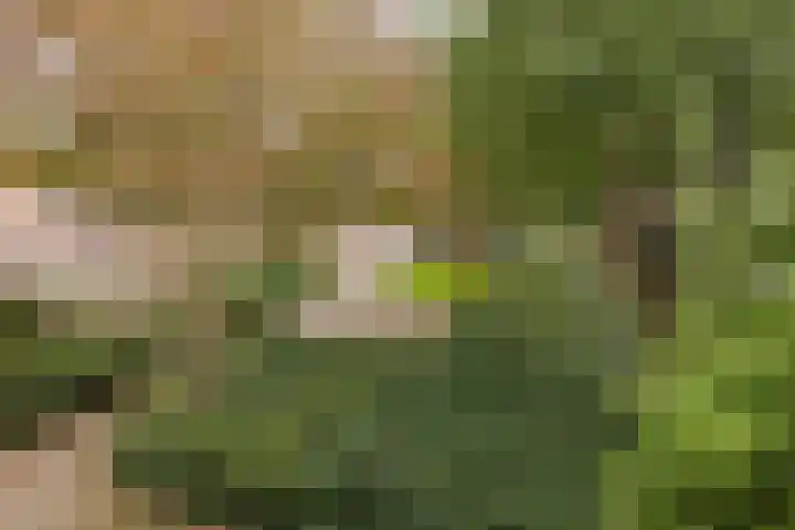 Poortwachter 13 Alphen aan den Rijn thumbnail 18