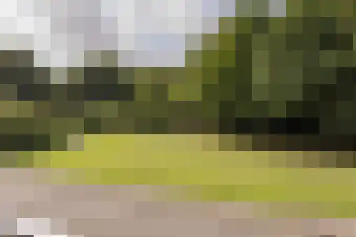Poortwachter 13 Alphen aan den Rijn thumbnail 22