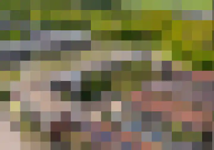 Poortwachter 13 Alphen aan den Rijn thumbnail 23