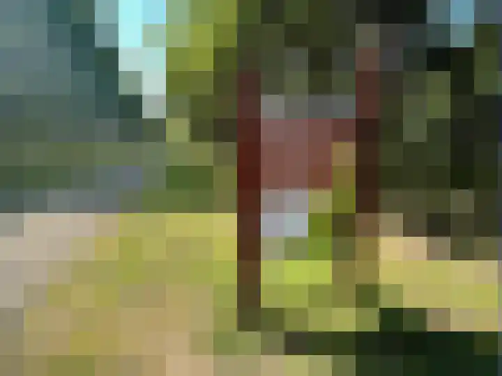 Poortwachter 13 Alphen aan den Rijn thumbnail 24