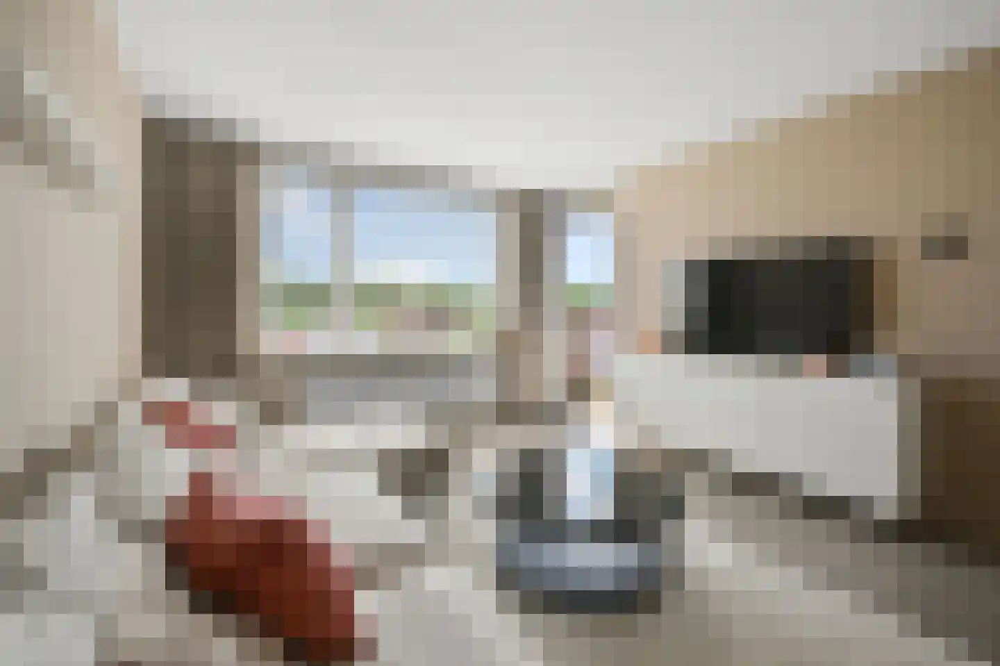 Poortwachter 134 Alphen aan den Rijn thumbnail 10