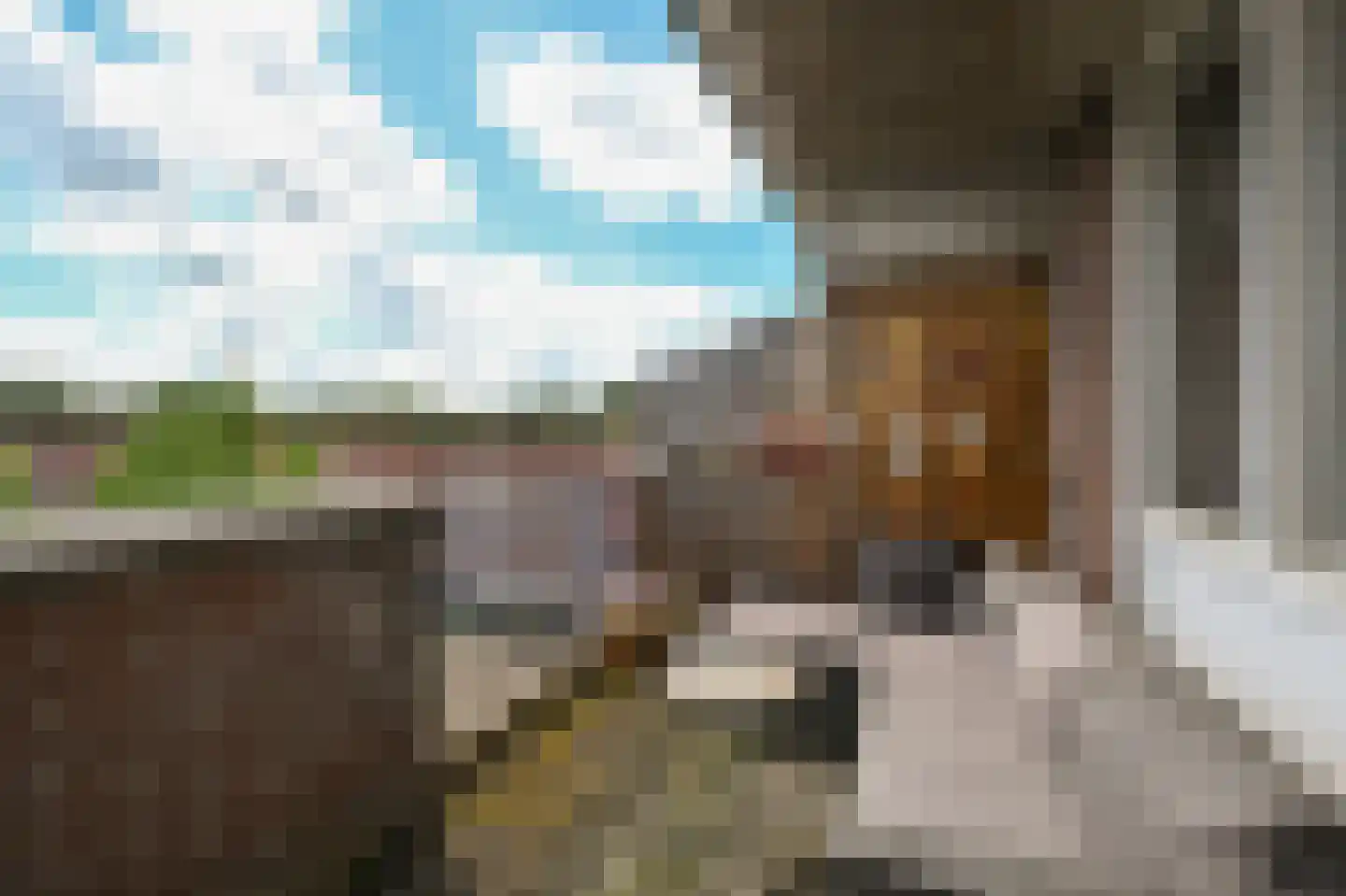 Poortwachter 134 Alphen aan den Rijn thumbnail 4