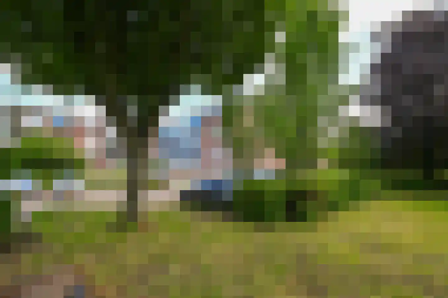 Poortwachter 134 Alphen aan den Rijn thumbnail 6