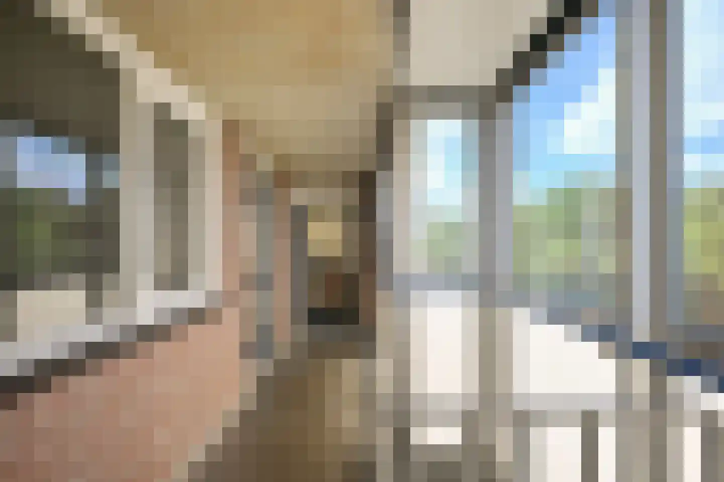 Poortwachter 134 Alphen aan den Rijn thumbnail 8