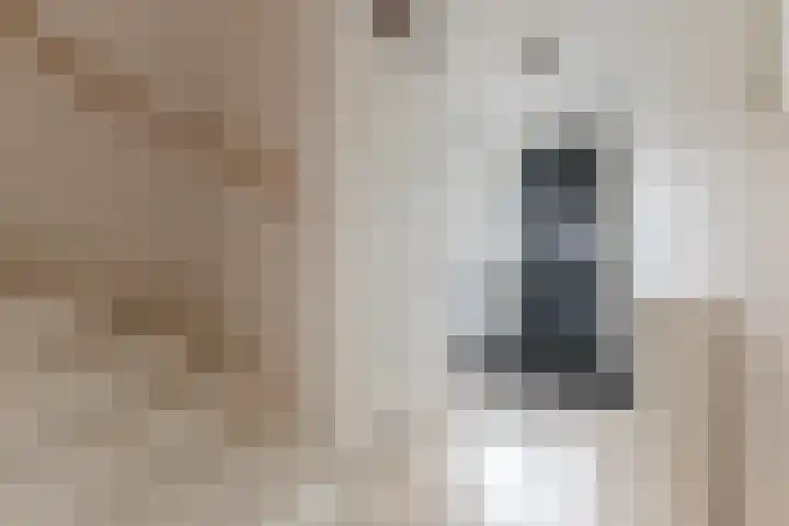 Poortwachter 138 Wormer thumbnail 10