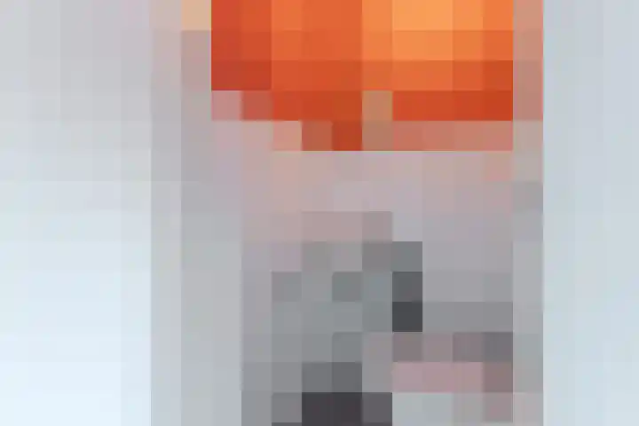 Poortwachter 138 Wormer thumbnail 11