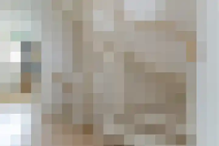 Poortwachter 138 Wormer thumbnail 13