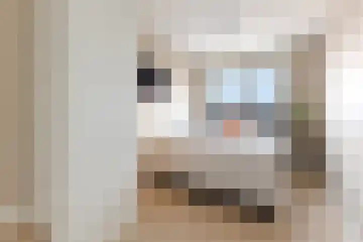 Poortwachter 138 Wormer thumbnail 14