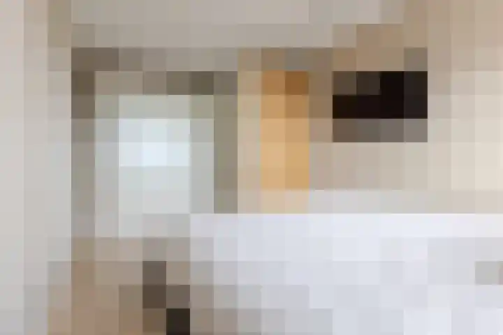 Poortwachter 138 Wormer thumbnail 15
