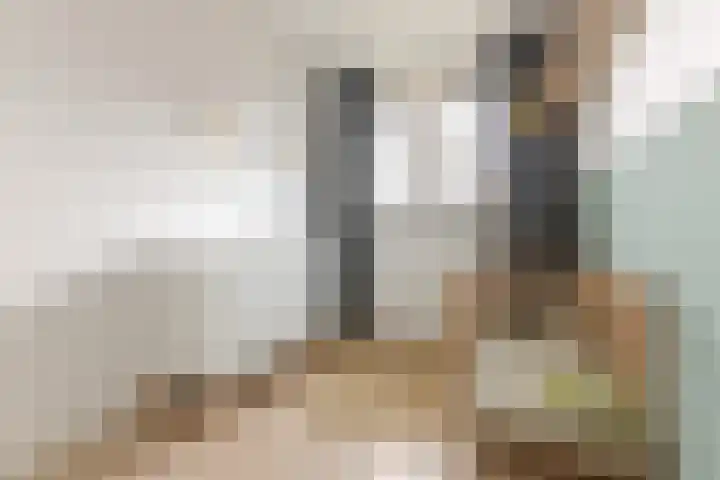 Poortwachter 138 Wormer thumbnail 16