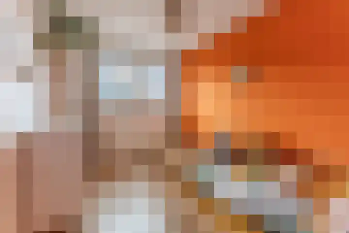 Poortwachter 138 Wormer thumbnail 18