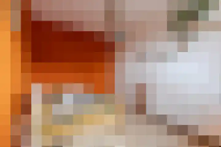 Poortwachter 138 Wormer thumbnail 19