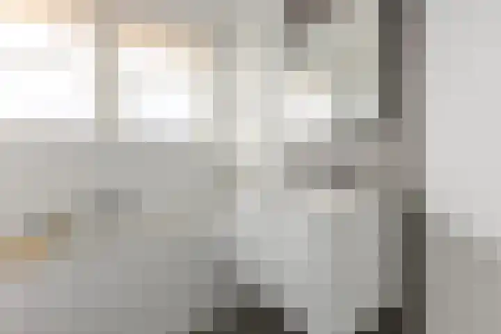 Poortwachter 138 Wormer thumbnail 22