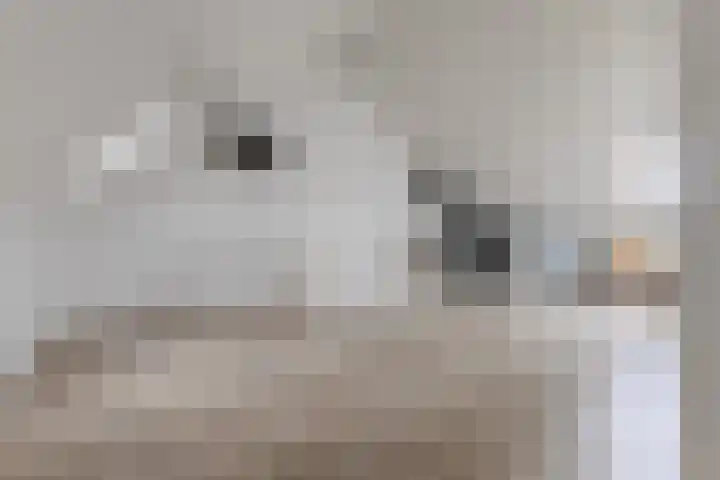 Poortwachter 138 Wormer thumbnail 23