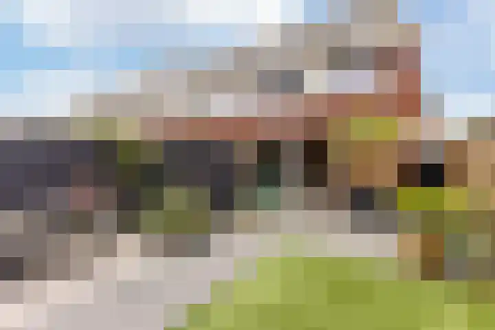 Poortwachter 138 Wormer thumbnail 26