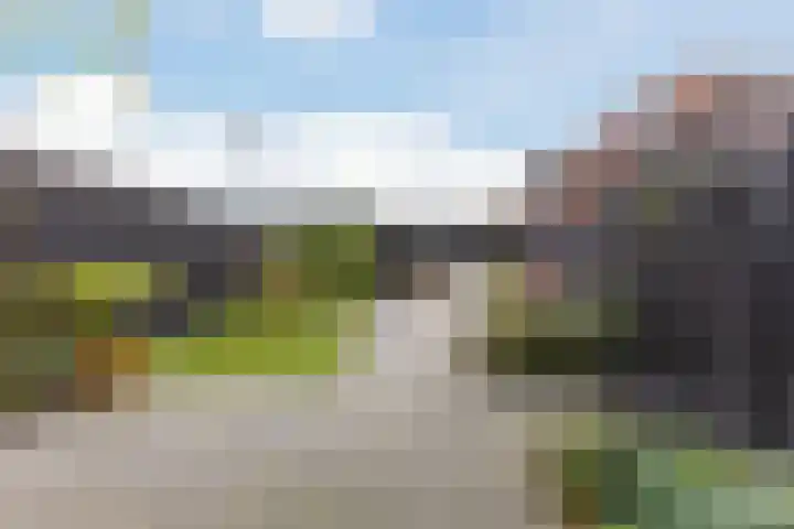 Poortwachter 138 Wormer thumbnail 27