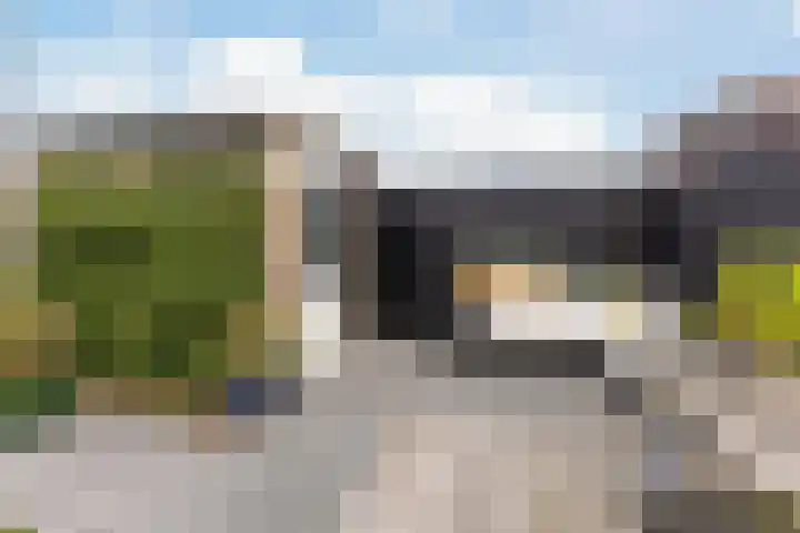 Poortwachter 138 Wormer thumbnail 28