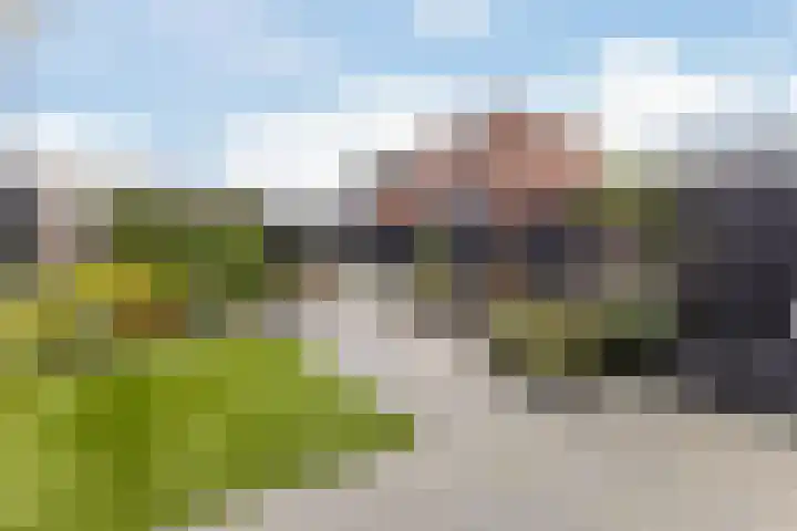 Poortwachter 138 Wormer thumbnail 29