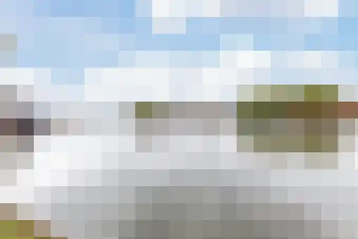 Poortwachter 138 Wormer thumbnail 30