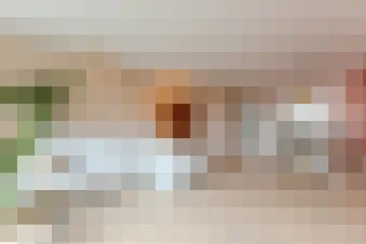 Poortwachter 138 Wormer thumbnail 6