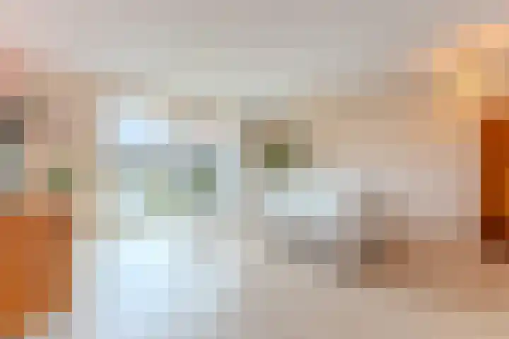 Poortwachter 138 Wormer thumbnail 7