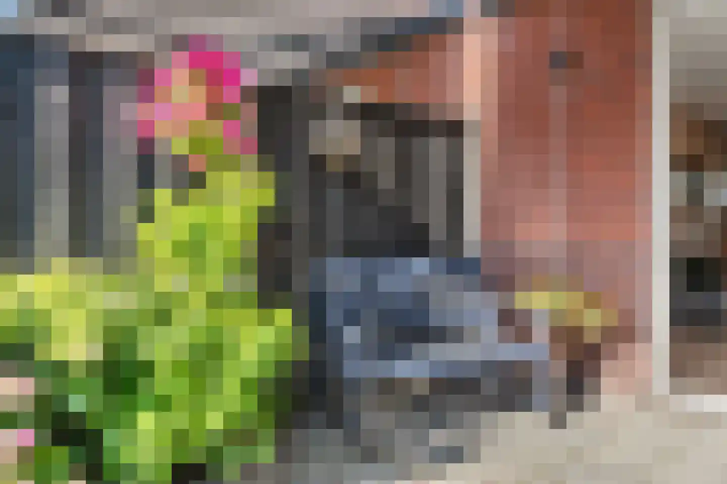 Poortwachter 144 Wormer thumbnail 17