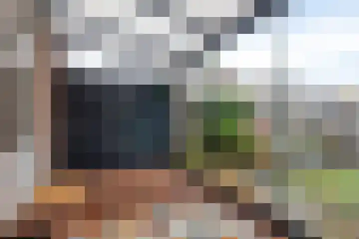 Poortwachter 30 Amstelveen thumbnail 14