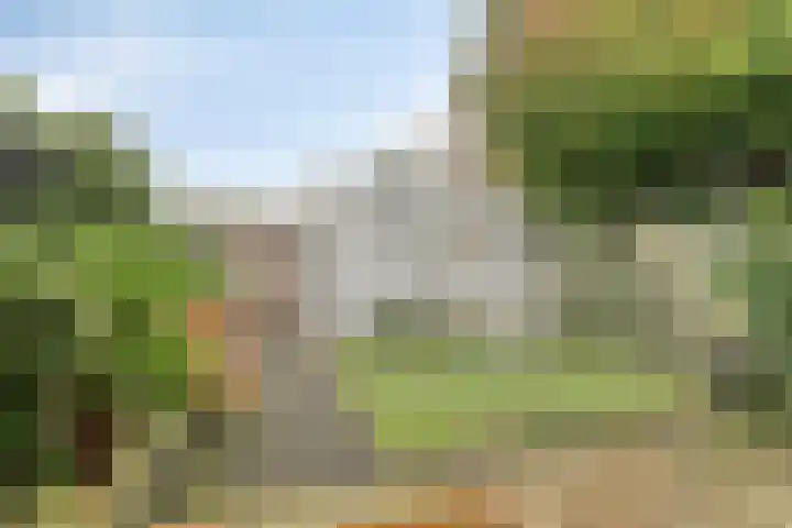 Poortwachter 30 Amstelveen thumbnail 15