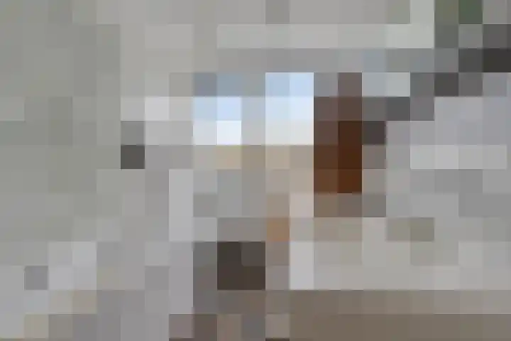 Poortwachter 30 Amstelveen thumbnail 22