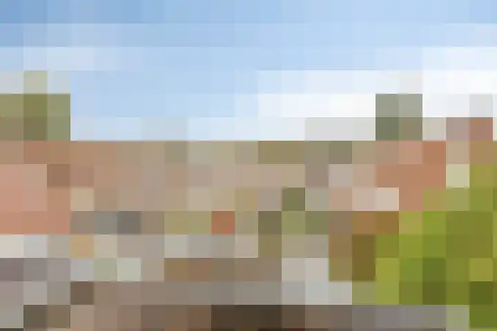 Poortwachter 30 Amstelveen thumbnail 30
