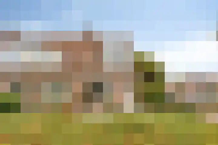 Poortwachter 30 Amstelveen thumbnail 31