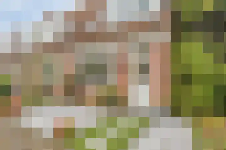 Poortwachter 30 Amstelveen thumbnail 32