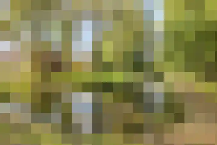 Poortwachter 30 Amstelveen thumbnail 36