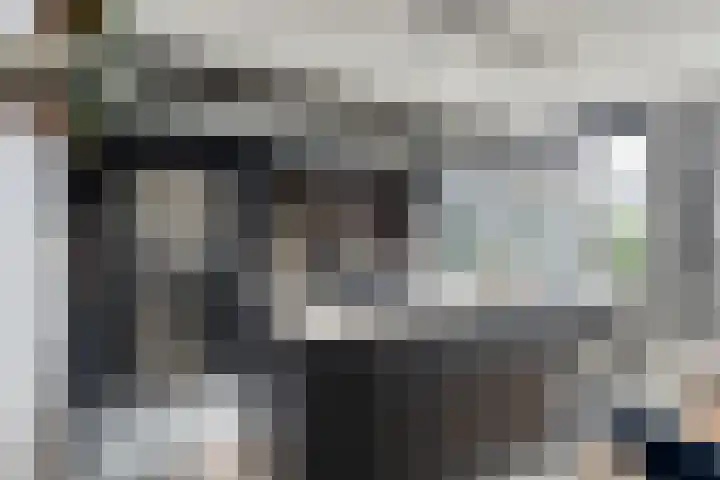 Poortwachter 30 Amstelveen thumbnail 9