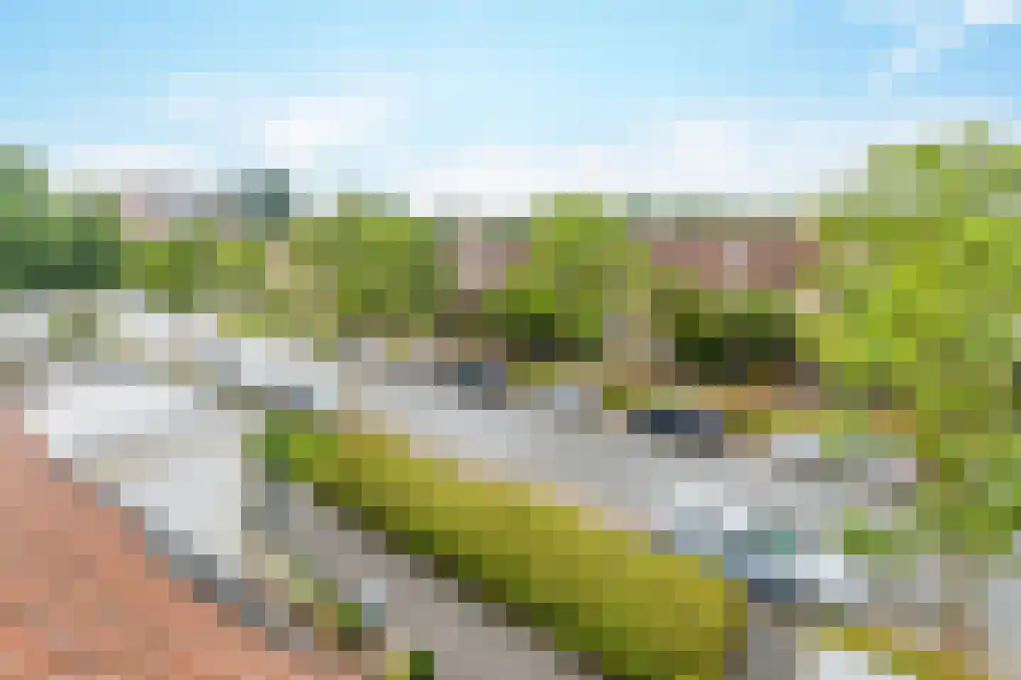 Poortwachter 44 Amstelveen thumbnail 22