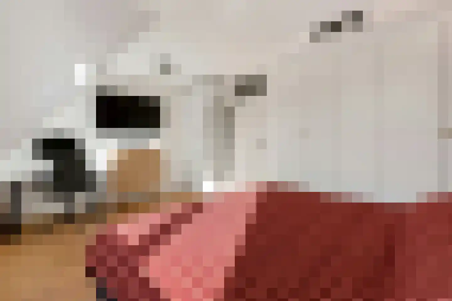 Poortwachter 50 Amstelveen thumbnail 20