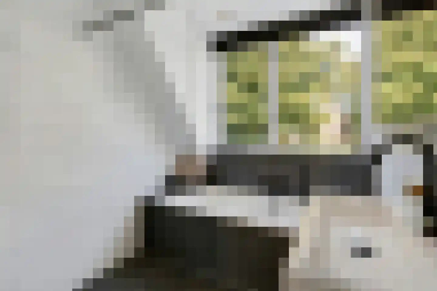 Poortwachter 50 Amstelveen thumbnail 23
