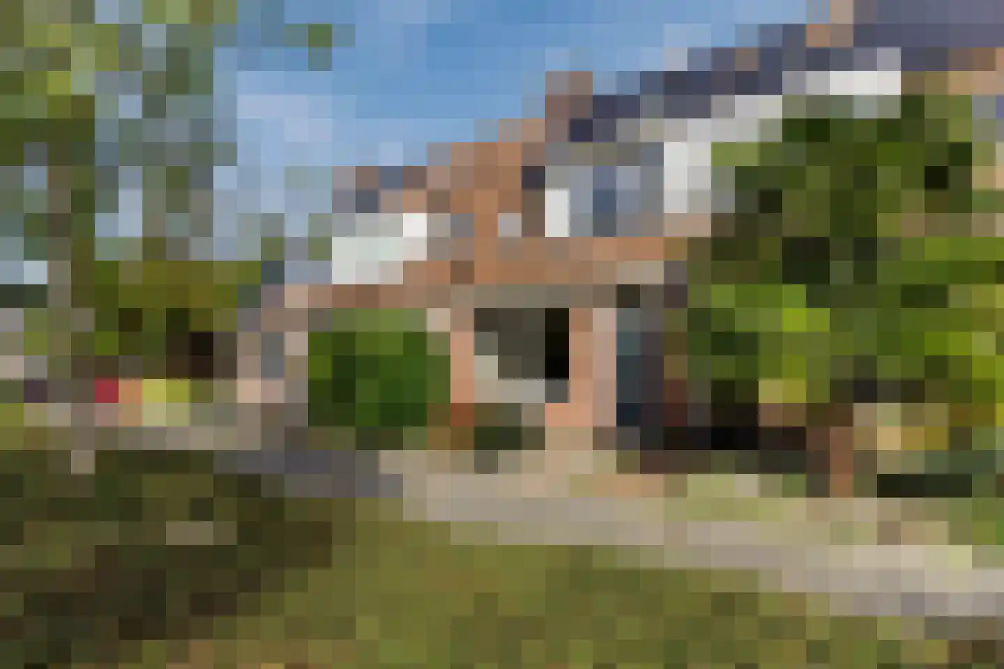 Poortwachter 50 Amstelveen thumbnail 30