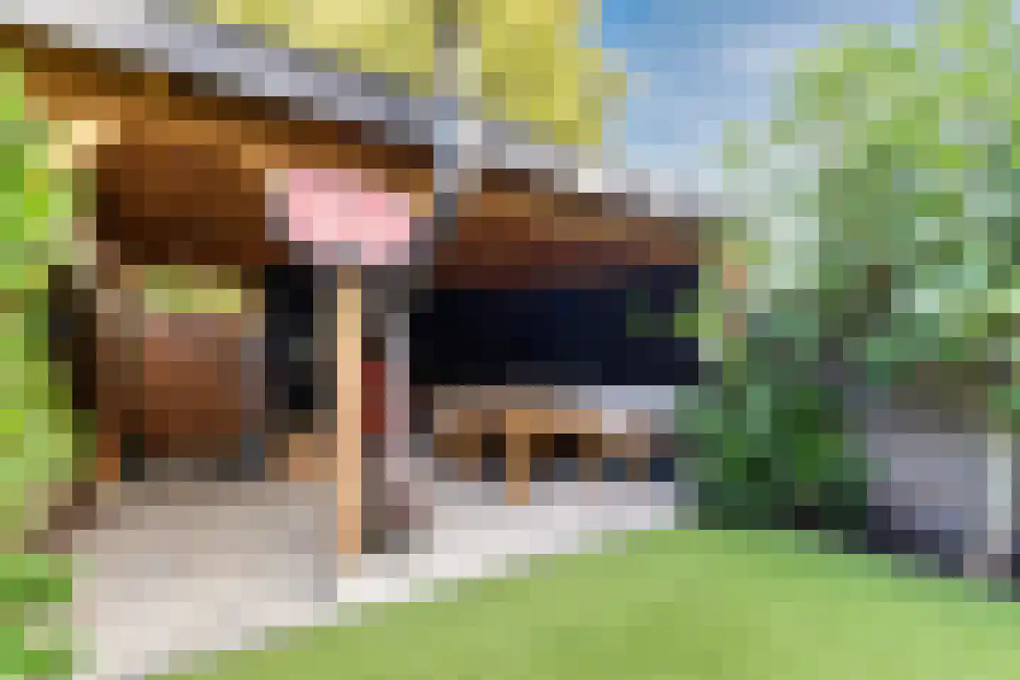 Poortwachter 50 Amstelveen thumbnail 5