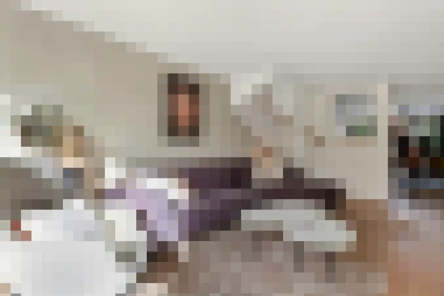 Poortwachter 50 Amstelveen thumbnail 7