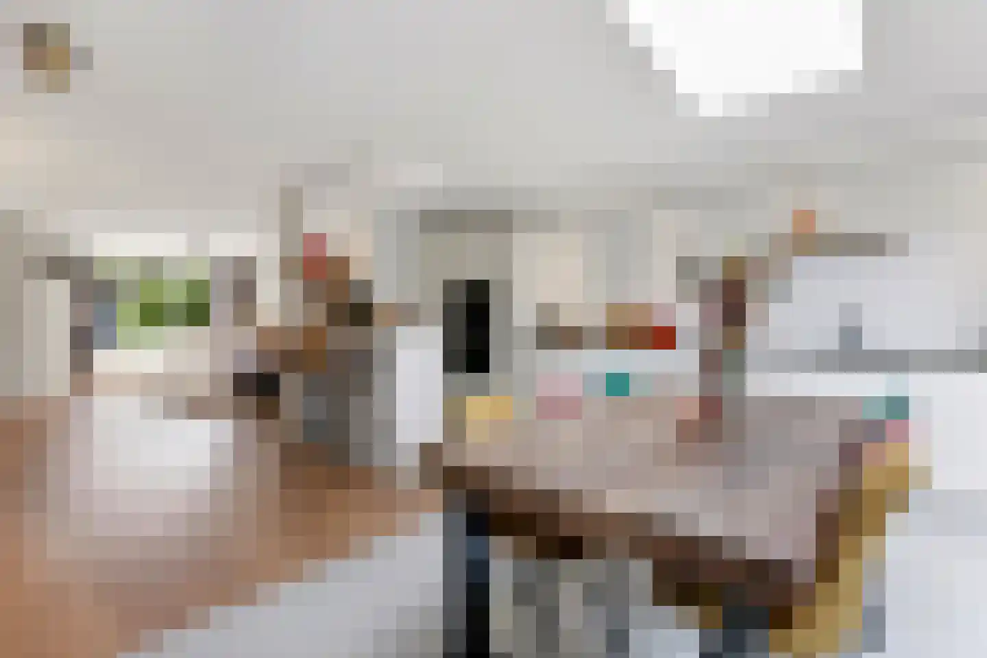 Poortwachter 50 Amstelveen thumbnail 8