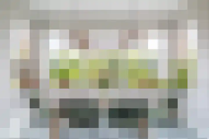 Poortwachter 59 Wormer thumbnail 5