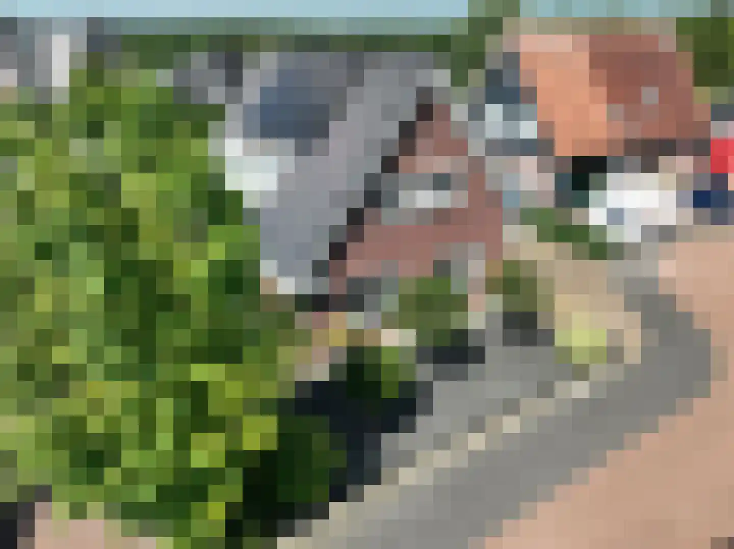 Poortwachter 6 Zeewolde thumbnail 85